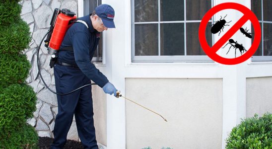 Çamardı Böcek ve Haşere İlaçlama böcek ilaçlama ve haşere kontrolü — ilaclama-tr.com